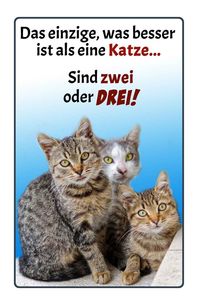 Holzschild 30x20 cm einzige was besser ist als Katze Tier Haustier