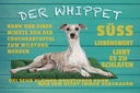 Holzschild 20x30 cm der Whippet Hund süss lebenswert Tier Haustier