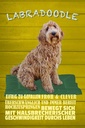 Holzschild 30x20 cm Labradoodle Hund froh und clever Tier Haustier