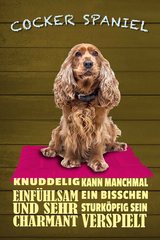 Holzschild 30x20 cm Cocker Spaniel Hund knuddelig Tier Haustier