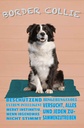 Holzschild 30x20 cm Border Collie Hund intelligent