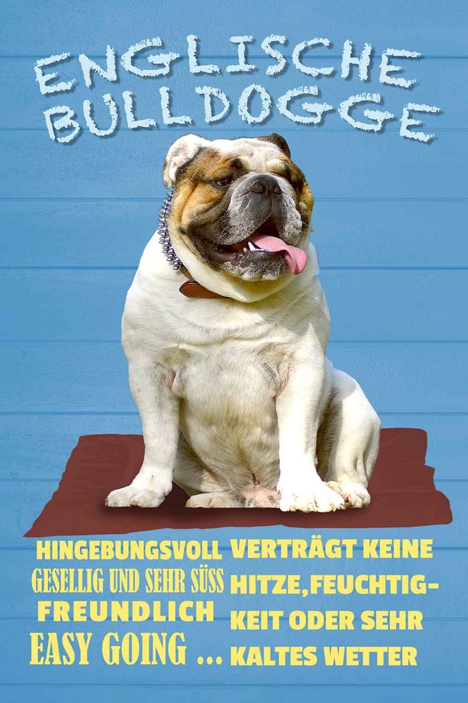 Holzschild 30x20 cm Englische Bulldogge Hund süss Tier Haustier
