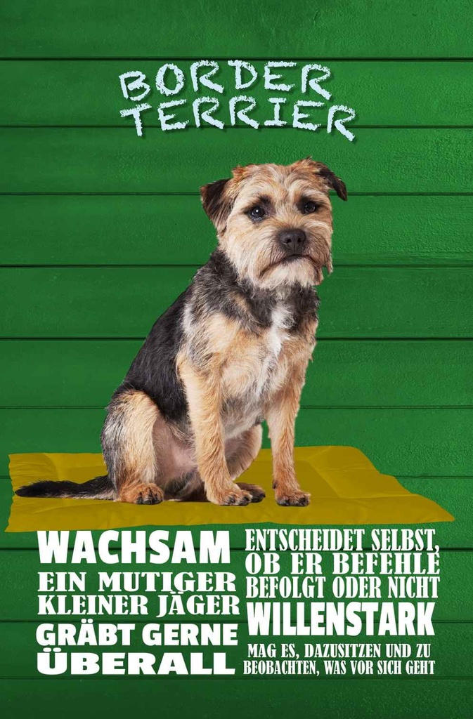 Holzschild 30x20 cm Border Terrier Hund wachsam Tier Haustier