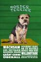 Holzschild 30x20 cm Border Terrier Hund wachsam Tier Haustier