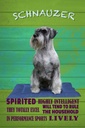 Holzschild 30x20 cm Schnauzer Hund highly inelligent Tier Haustier