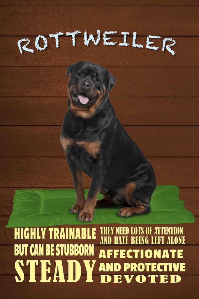 Holzschild 30x20 cm Rottweiler Hund highly trainable Tier Haustier