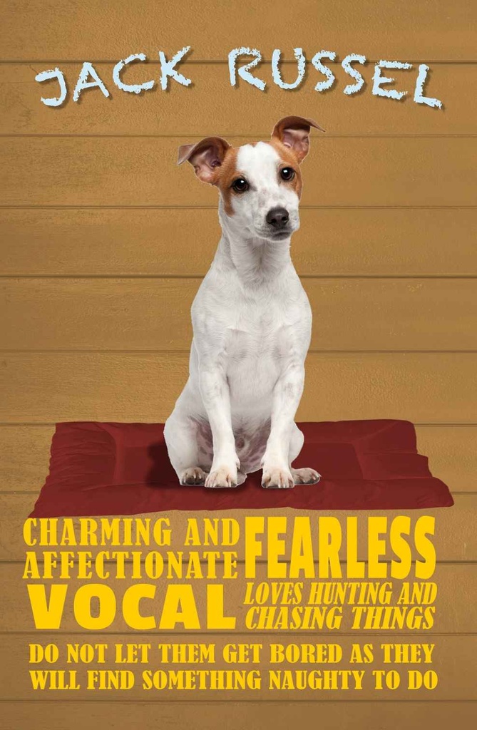 Holzschild 30x20 cm Jack Russel Hund charming Dekoration