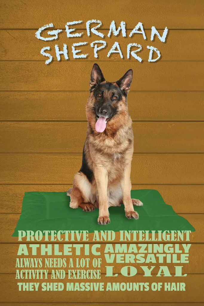 Holzschild 30x20 cm German Shepard Hund athletic Tier Haustier