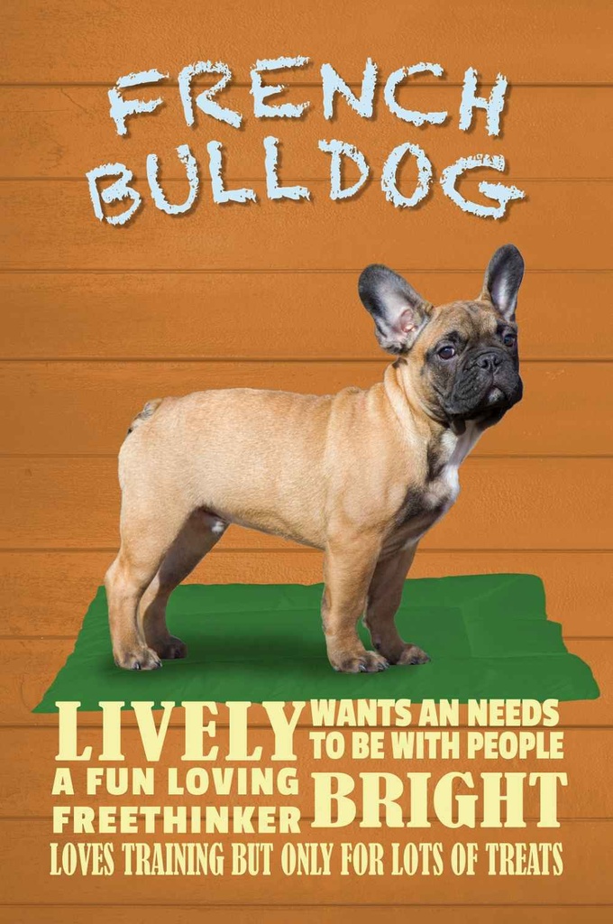 Holzschild 30x20 cm French Bulldog Hund lively Tier Haustier