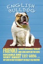 Holzschild 30x20 cm English Bulldog Hund friendly Tier Haustier