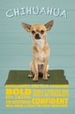 Holzschild 30x20 cm Chihuahua Hund bold confident Tier Haustier