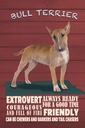 Holzschild 30x20 cm Bullterrier Hund always ready Tier Haustier