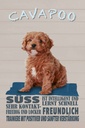 Holzschild 30x20 cm Cavapoo Hund süss freundlich Tier Haustier