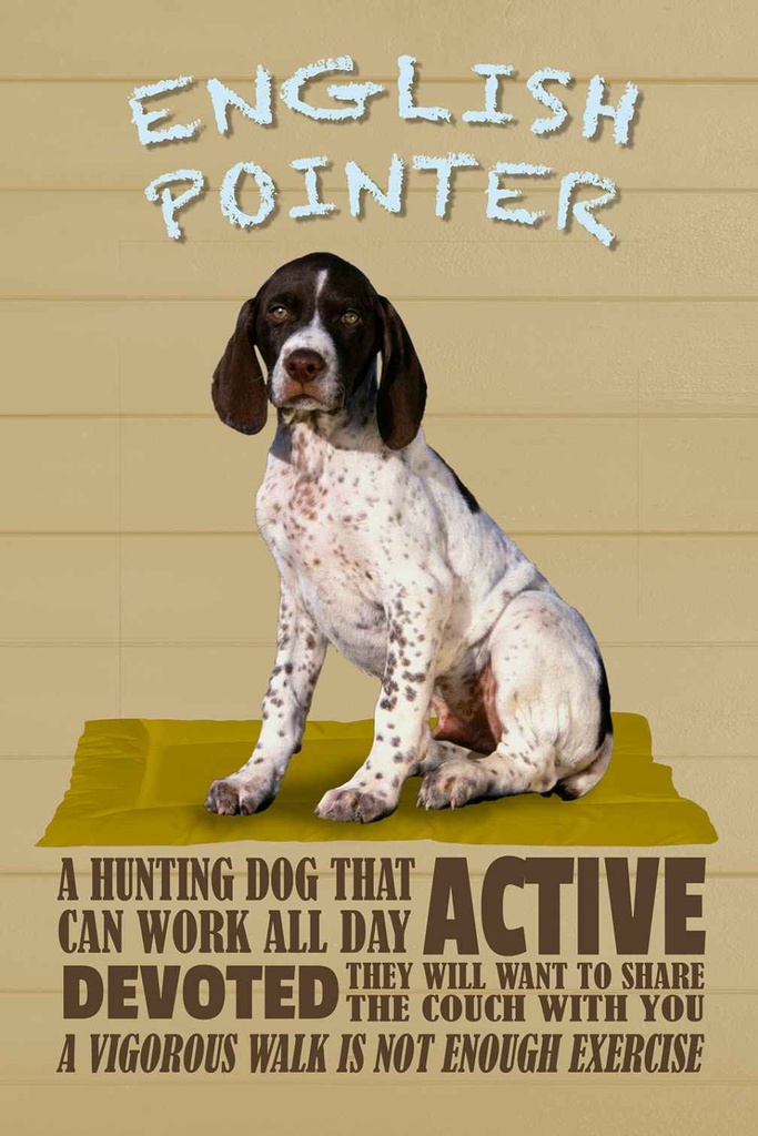Holzschild 30x20 cm English Pointer Hund active Tier Haustier