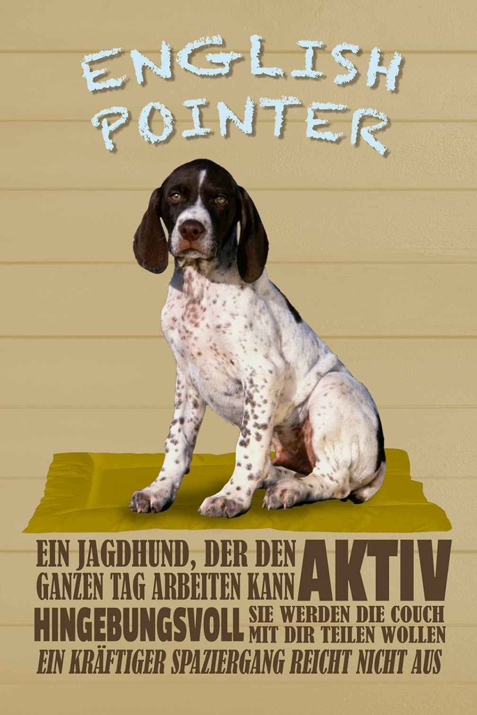 Holzschild 30x20 cm English Pointer Jagdhund aktiv Tier Haustier