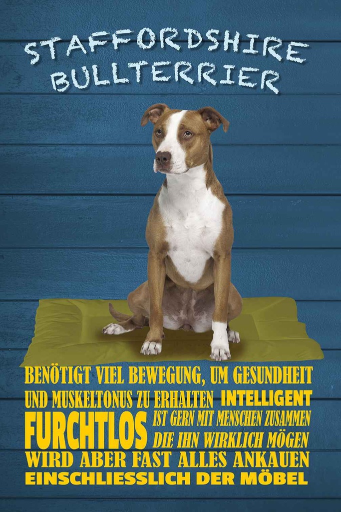 Holzschild 30x20 cm Staffordshire Bullterrier Hund Tier Haustier