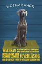 Holzschild 30x20 cm Weimaraner Hund wachsam schnell Tier Haustier