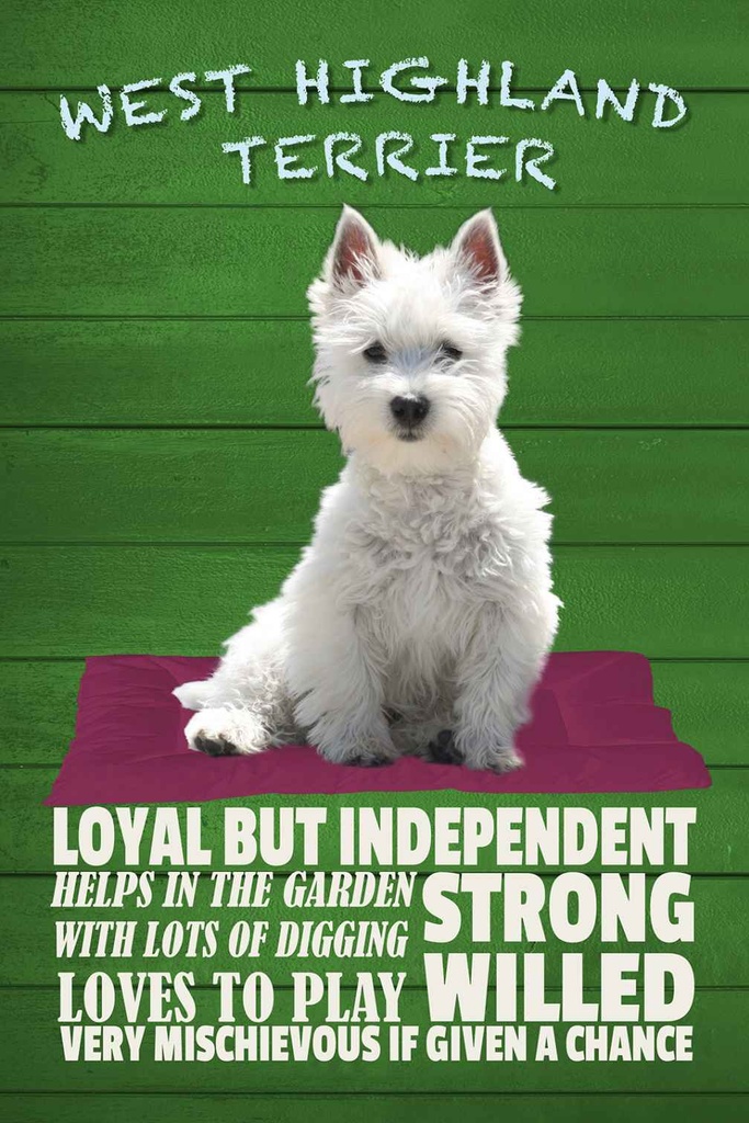 Holzschild 30x20 cm West Highland Terrier Hund loyal Tier Haustier