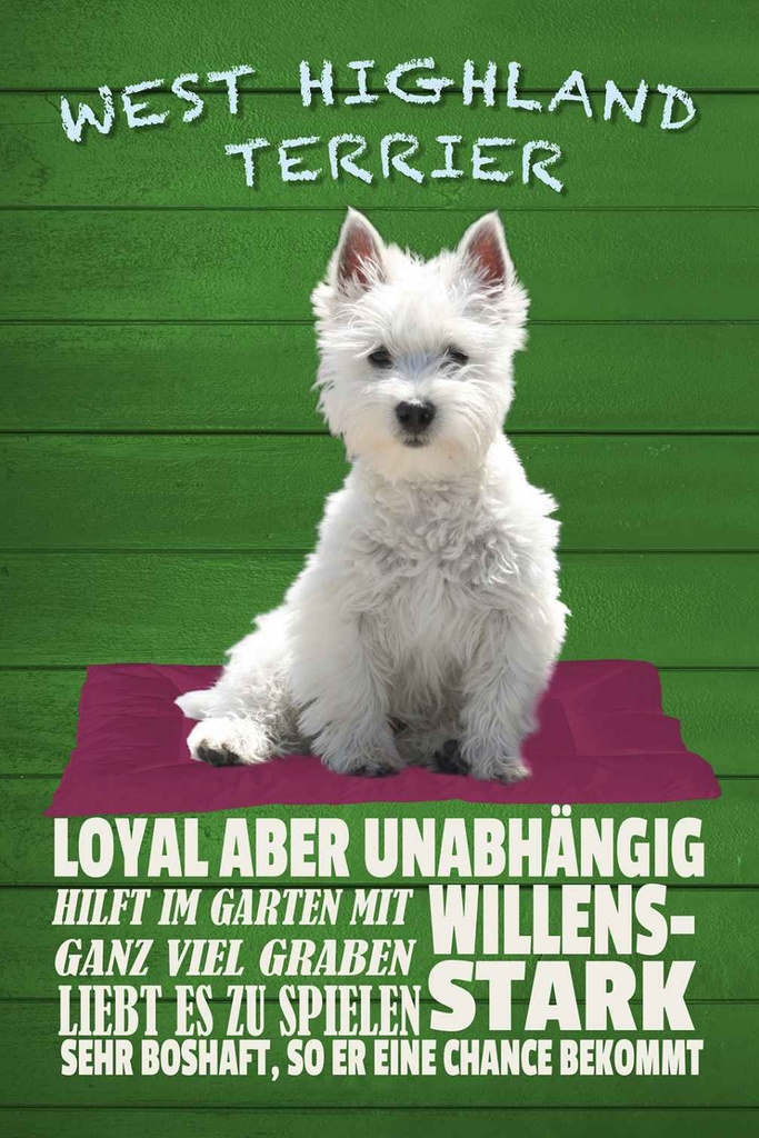 Holzschild 30x20 cm West Highland Terrier Hund stark Tier Haustier