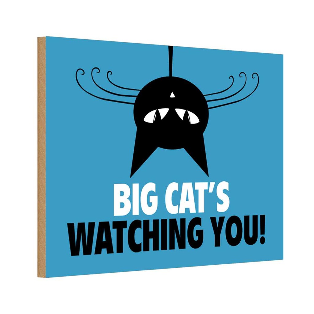 Holzschild 20x30 cm Big cat`s watching you Katze Tier Haustier