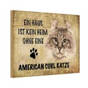 Holzschild 20x30 cm American Curl Katze Tier Haustier