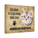 Holzschild 20x30 cm American Shorthair Katze Tier Haustier