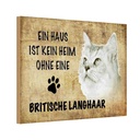 Holzschild 20x30 cm britische Langhaar Katze Tier Haustier