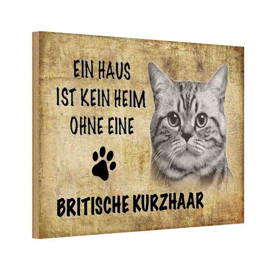 Holzschild 20x30 cm Britische Kurzhaar Katze Tier Haustier