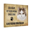 Holzschild 20x30 cm exotische Kurzhaar Katze Tier Haustier