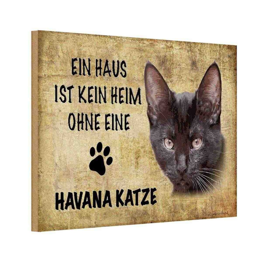 Holzschild 20x30 cm Havana Katze ohne kein Heim Tier Haustier