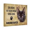 Holzschild 20x30 cm Havana Katze ohne kein Heim Tier Haustier