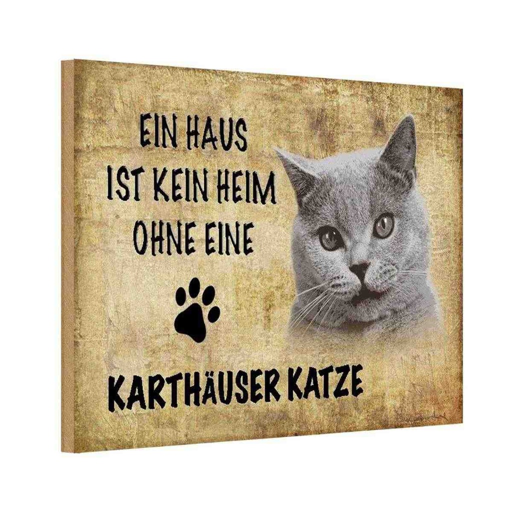 Holzschild 20x30 cm Karthäuser Katze ohne kein Heim Tier Haustier
