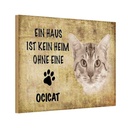 Holzschild 20x30 cm Ocicat Katze ohne kein Heim Tier Haustier