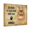 Holzschild 20x30 cm Somali Katze ohne kein Heim Tier Haustier