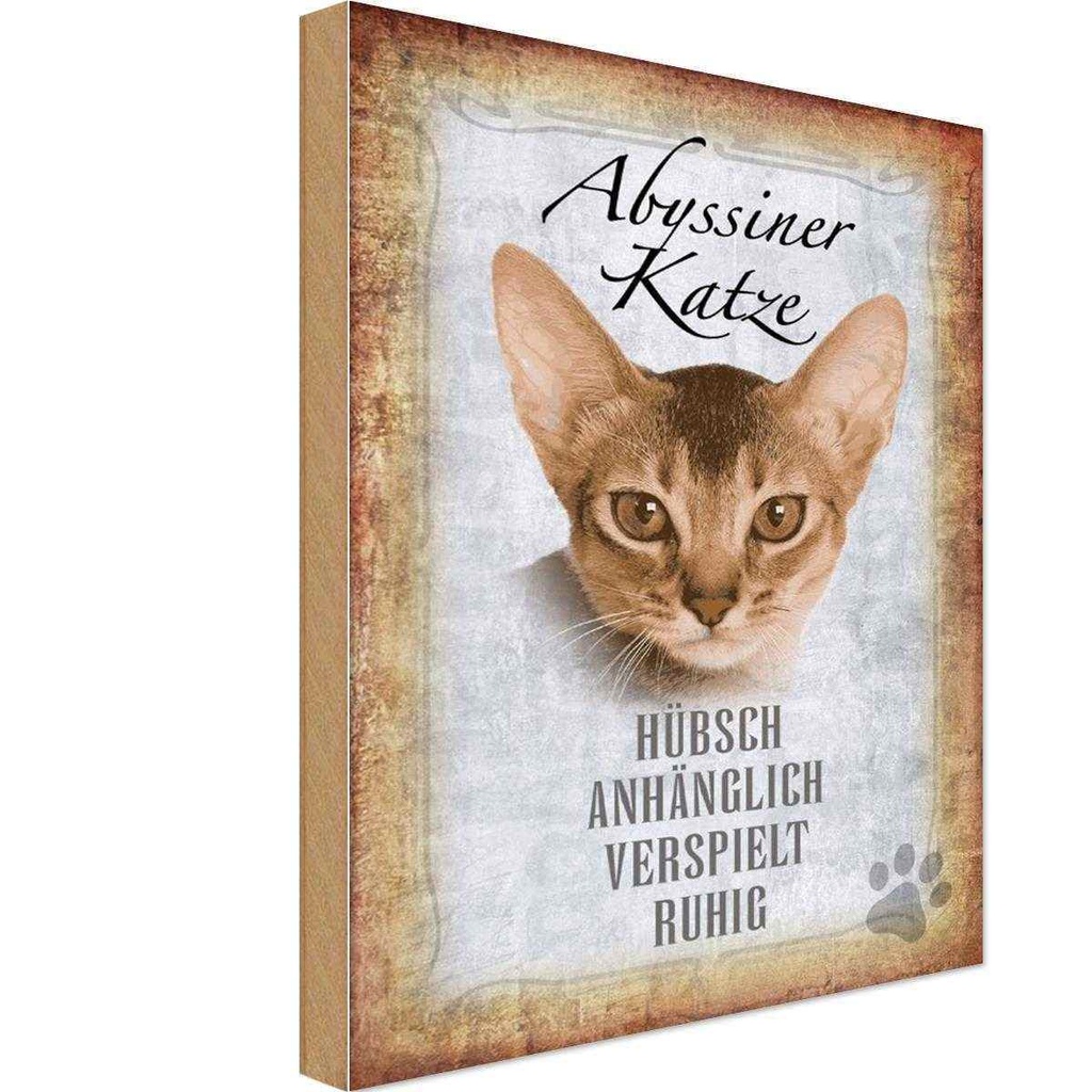 Holzschild 30x20 cm Abyssiner Katze hübsch verspielt