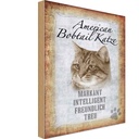 Holzschild 30x20 cm American Bobtail Katze