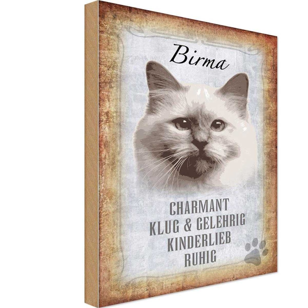 Holzschild 30x20 cm Birma Katze klug