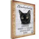 Holzschild 30x20 cm Bombaykatze Katze