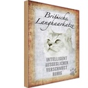 Holzschild 30x20 cm britische Langhaarkatze Tier Haustier