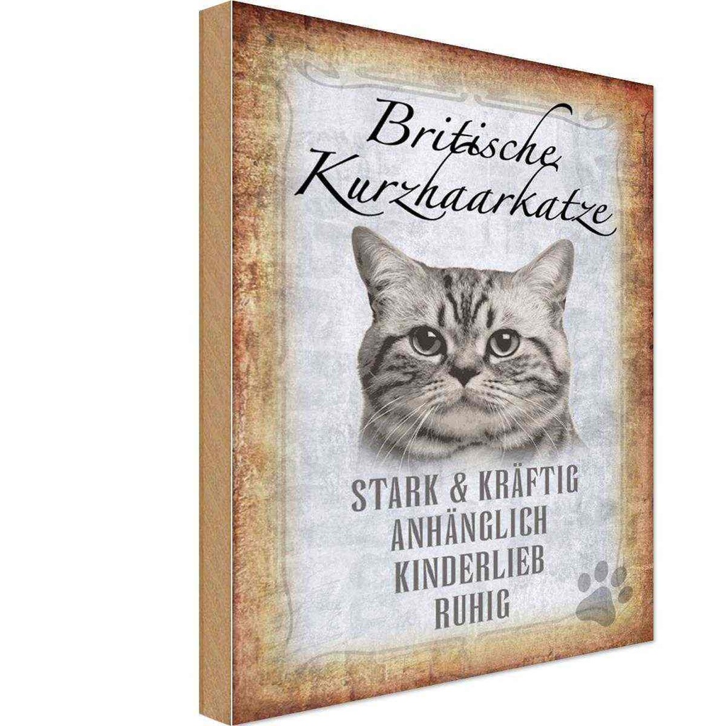 Holzschild 30x20 cm britische kurzhaarkatze Tier Haustier