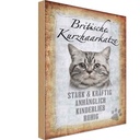 Holzschild 30x20 cm britische kurzhaarkatze Tier Haustier