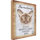 Holzschild 30x20 cm Burmakatze Katze Tier Haustier