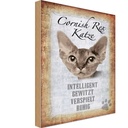 Holzschild 30x20 cm Cornish Rex Katze Tier Haustier