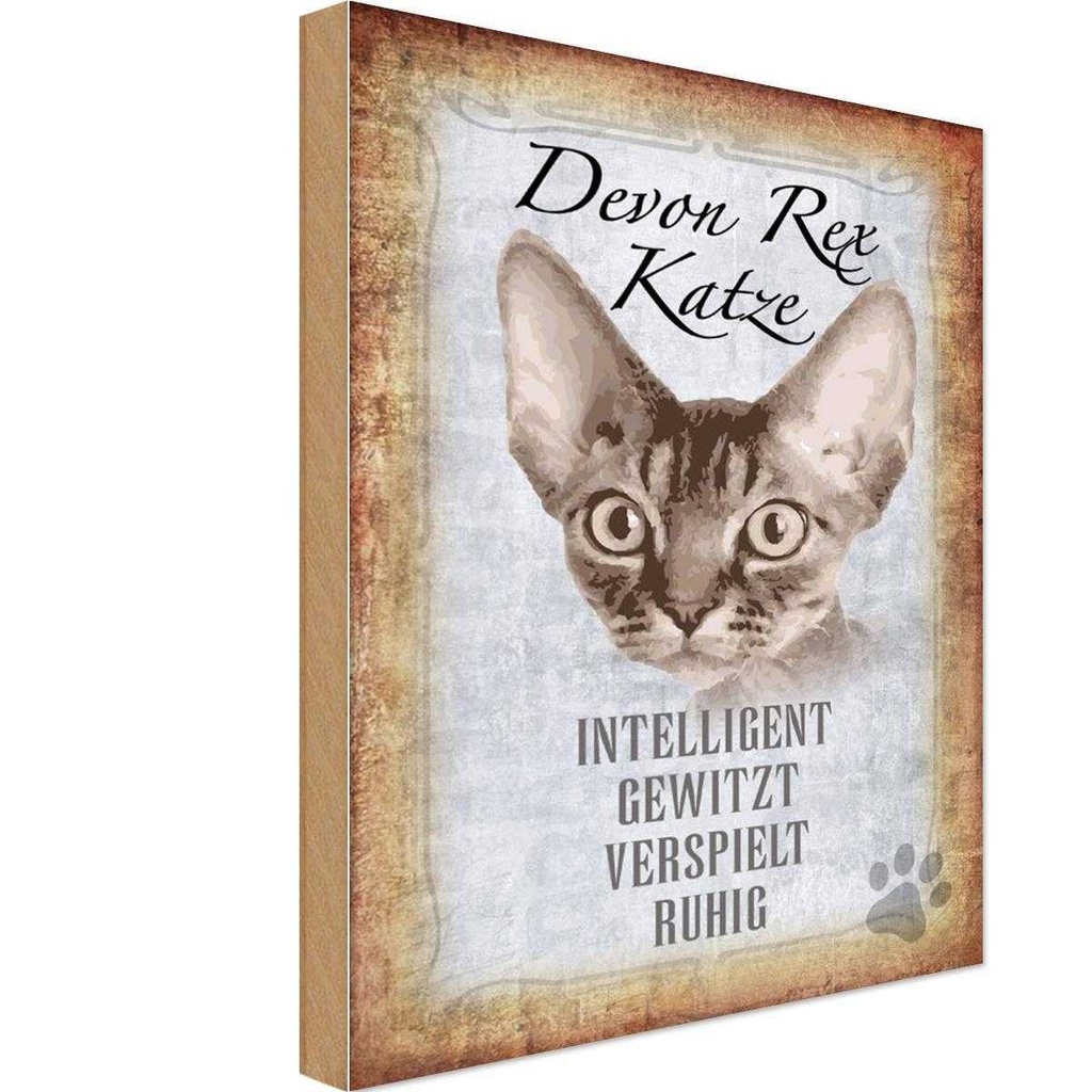 Holzschild 30x20 cm Devon Rex Katze intelligent Tier Haustier