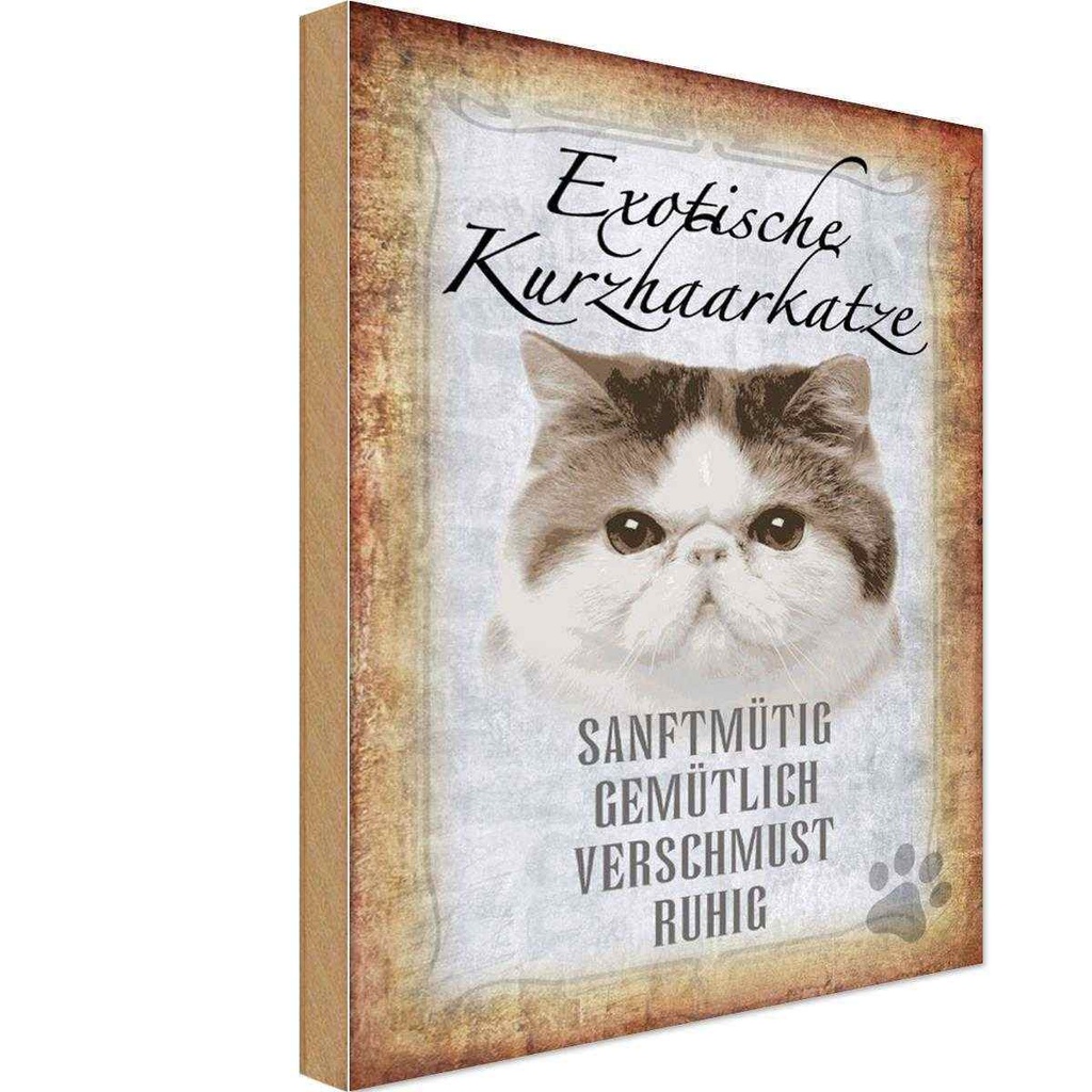Holzschild 30x20 cm exotische Kurzhaarkatze Katze Tier Haustier
