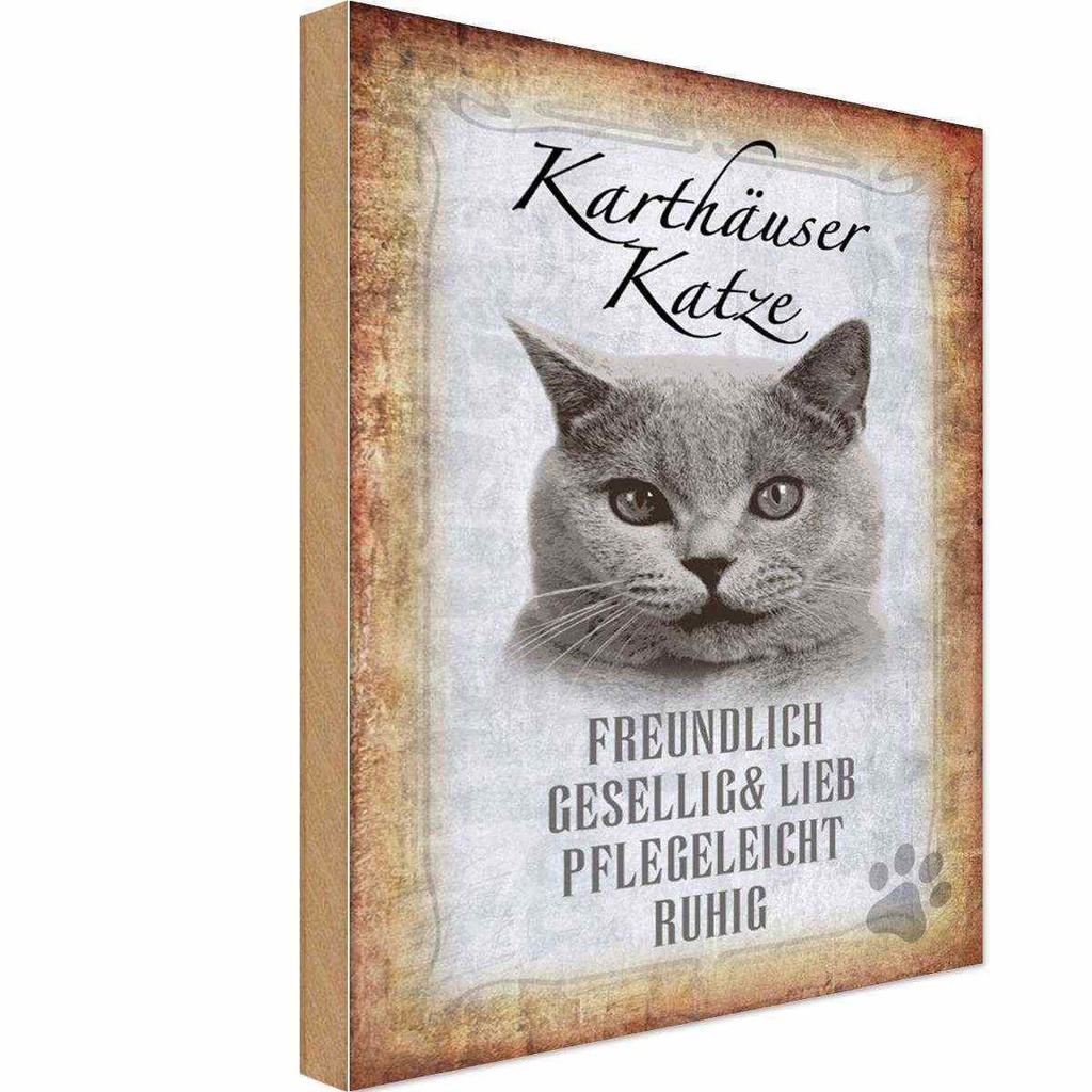 Holzschild 30x20 cm Karthäuser Katze lieb Tier Haustier
