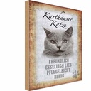 Holzschild 30x20 cm Karthäuser Katze lieb Tier Haustier
