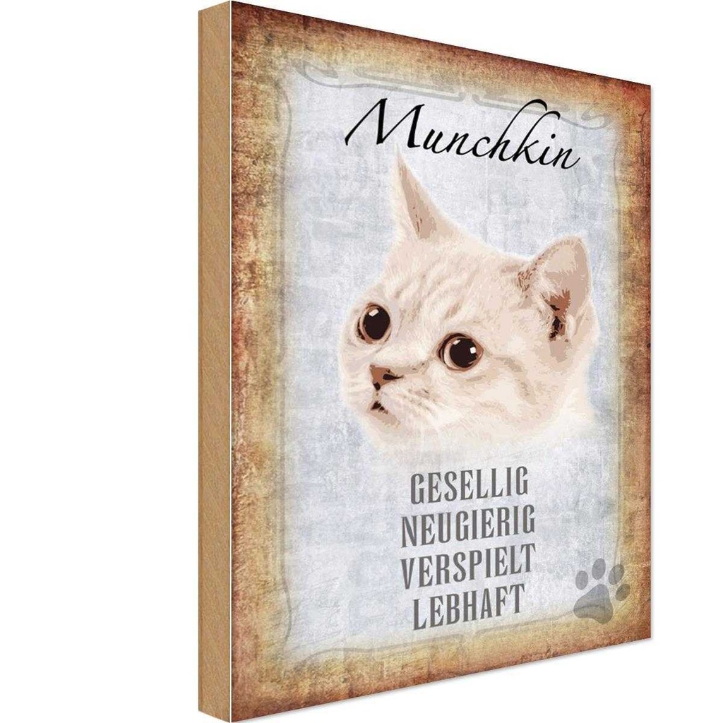 Holzschild 30x20 cm Munchkin Katze lebhaft Tier Haustier