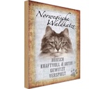 Holzschild 30x20 cm norvegische Waldkatze Katze Wanddeco Tier Haustier