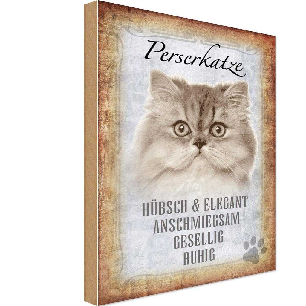 Holzschild 30x20 cm Perserkatze Katze hübsch Tier Haustier